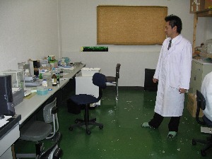 低分子フコイダン