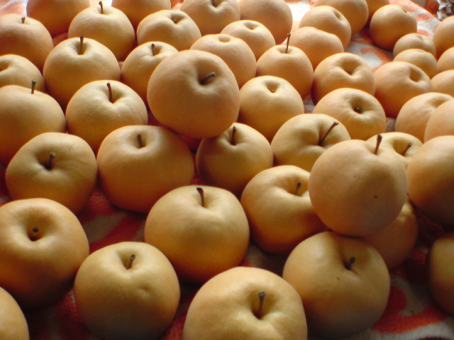 20091009135034.jpg