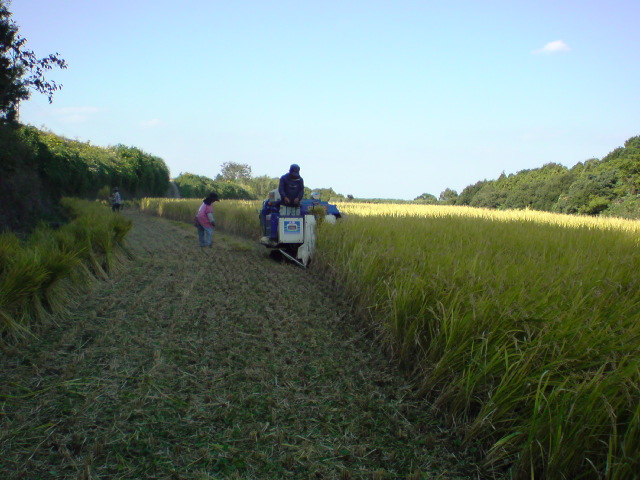 20091018142636.jpg