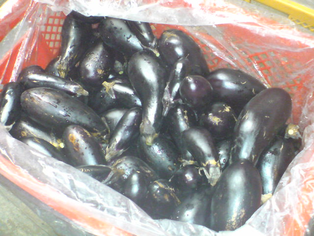 20091101185820.jpg