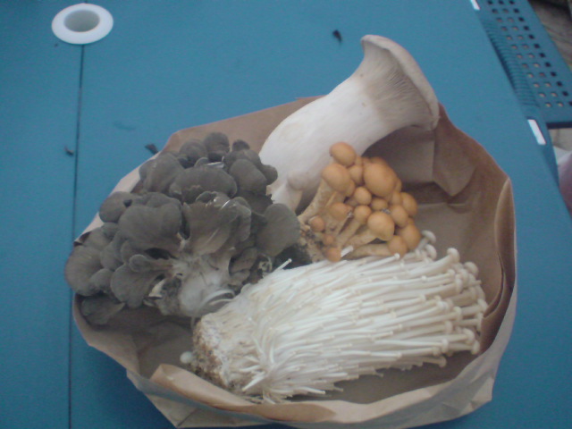 20091101172932.jpg