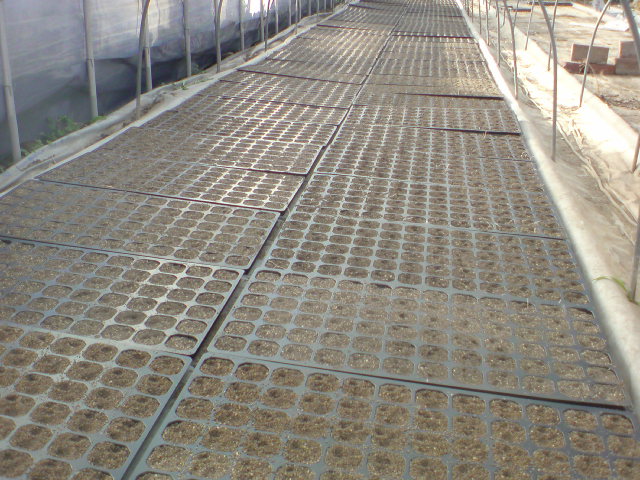 20091103151414.jpg