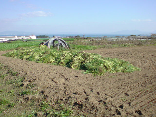 20091204121208.jpg
