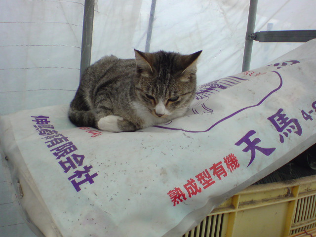 20091206115200.jpg