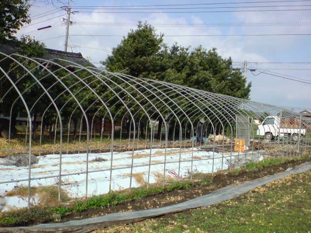 20091211110737.jpg