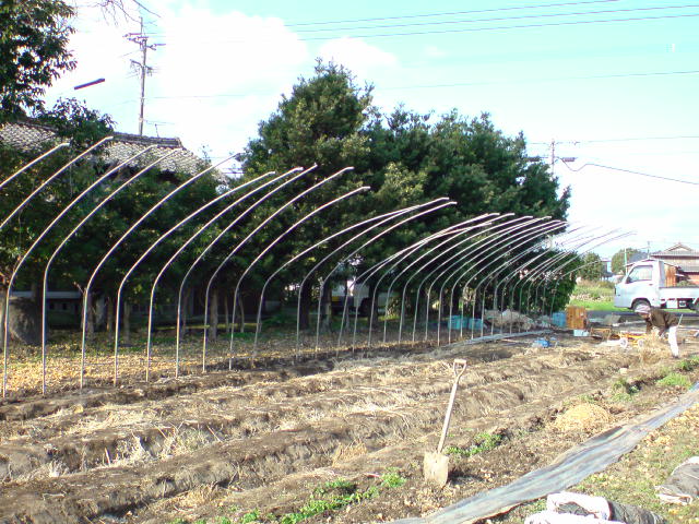 20091211140129.jpg