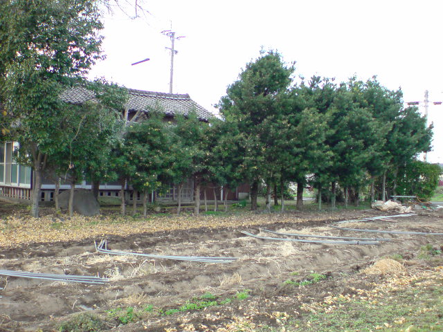 20091211150544.jpg