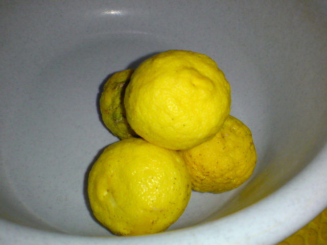 20091214185821.jpg