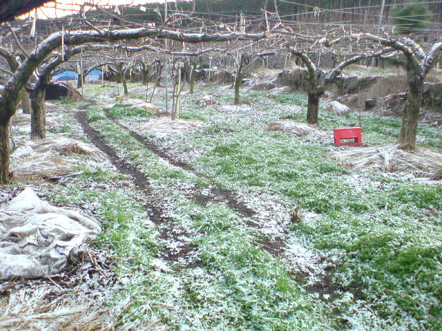 20091218082753.jpg