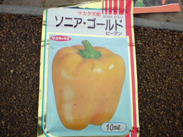 20091223103200.jpg