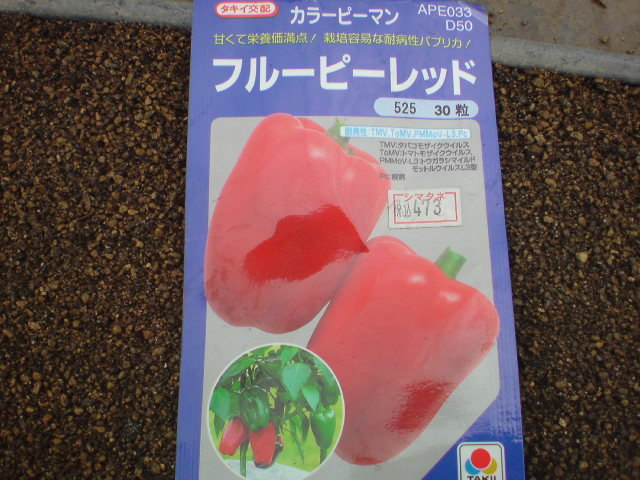 20091223103219.jpg