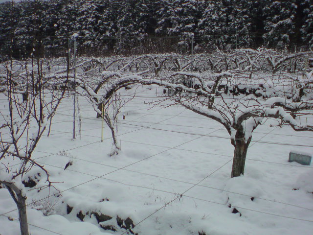20100113102420.jpg