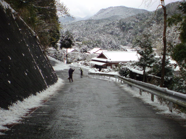 20100113114337.jpg