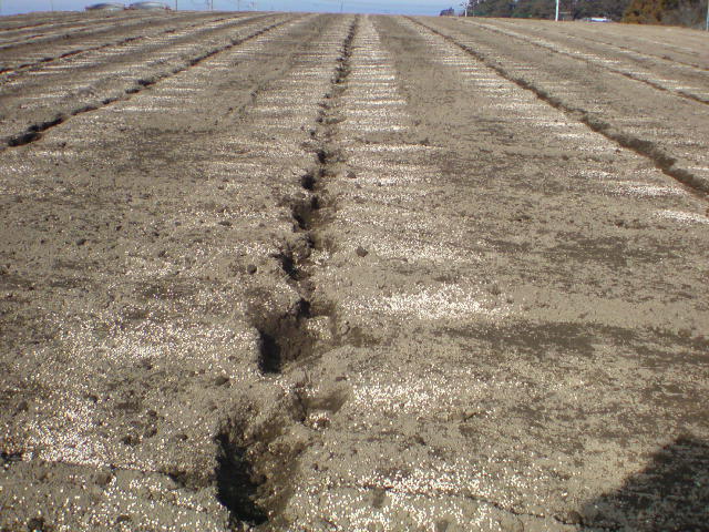 20100118140727.jpg