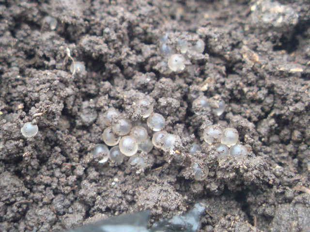 20100121101945.jpg