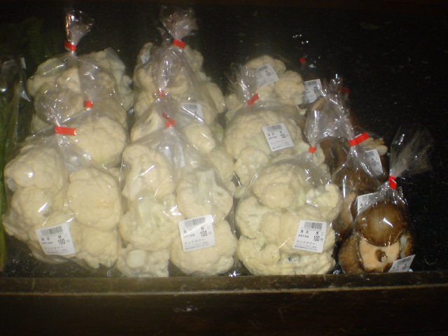 20100123065828.jpg