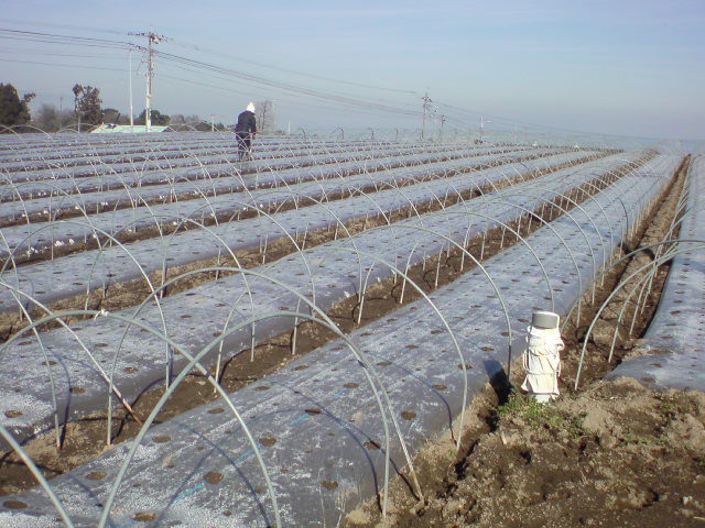 20100127105248.jpg
