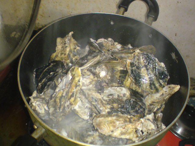 20100126184931.jpg