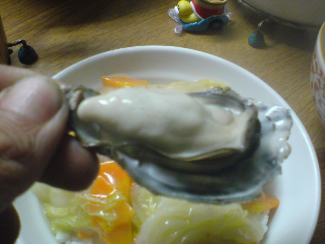 20100126191351.jpg