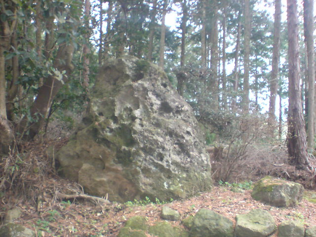 20100207083012.jpg
