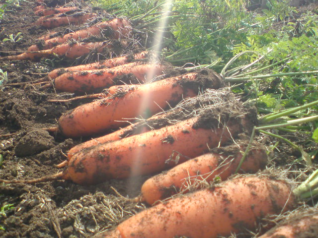 20100222111626.jpg