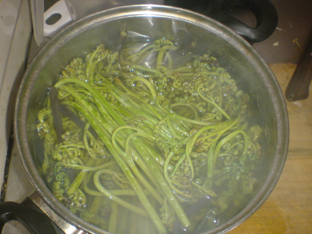 20100401125539.jpg
