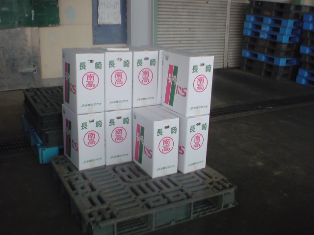 20100409070605.jpg
