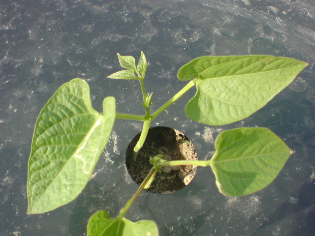 20100410165120.jpg