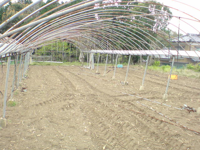 20100411104137.jpg