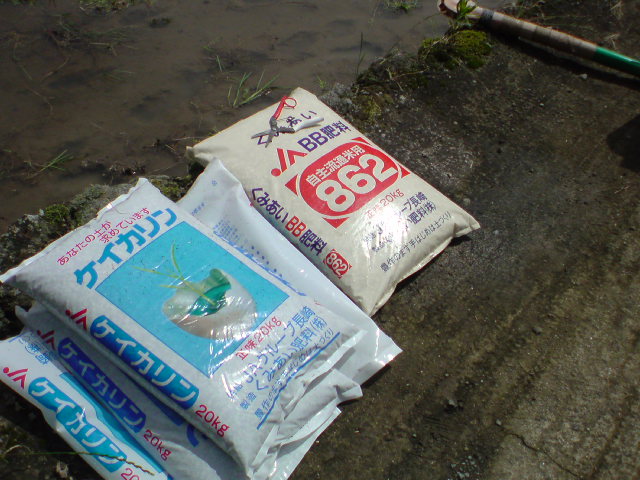 20100613101417.jpg