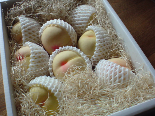 20100801121146.jpg