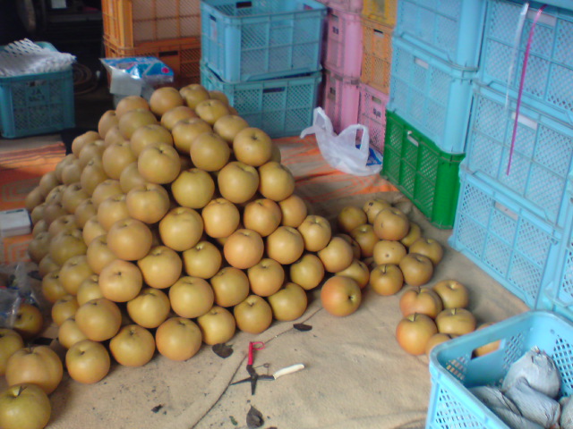 20100922095425.jpg