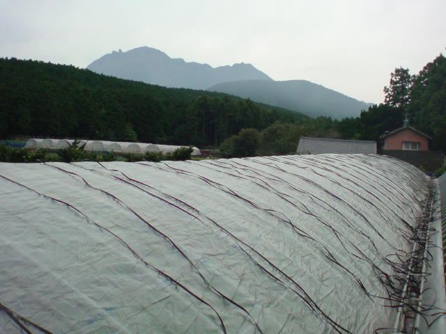 20101008084819.jpg