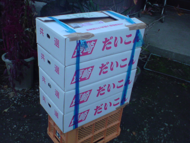 20101203170557.jpg