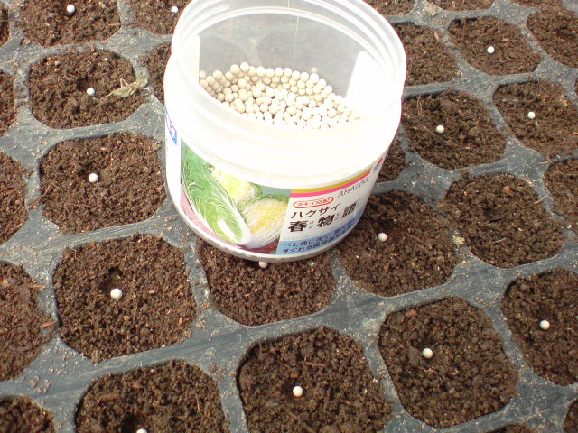 20101211111354.jpg