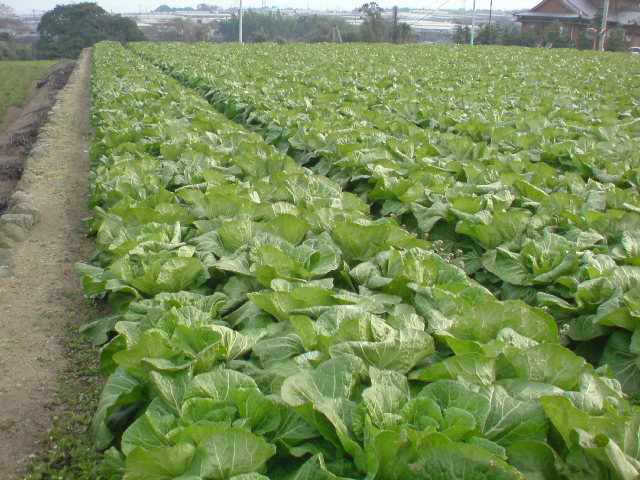 20110123172553.jpg