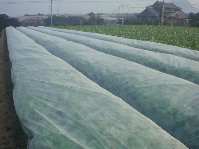20110123174411.jpg