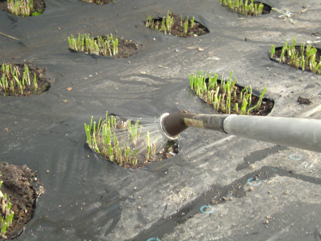 20110123190045.jpg