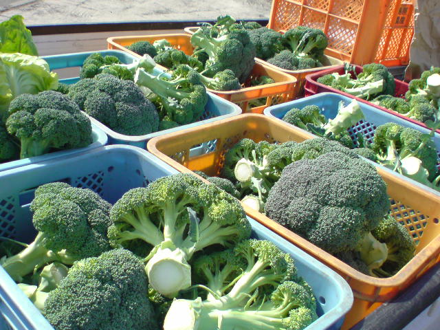 20110316144536.jpg