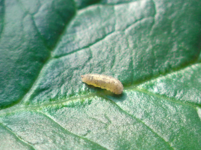 20141218111038.jpg