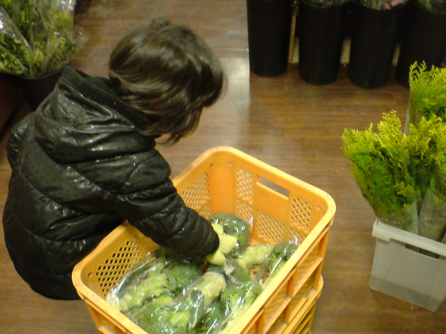 20141221074907.jpg