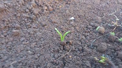 1420672563197.jpg