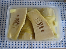 takenoko