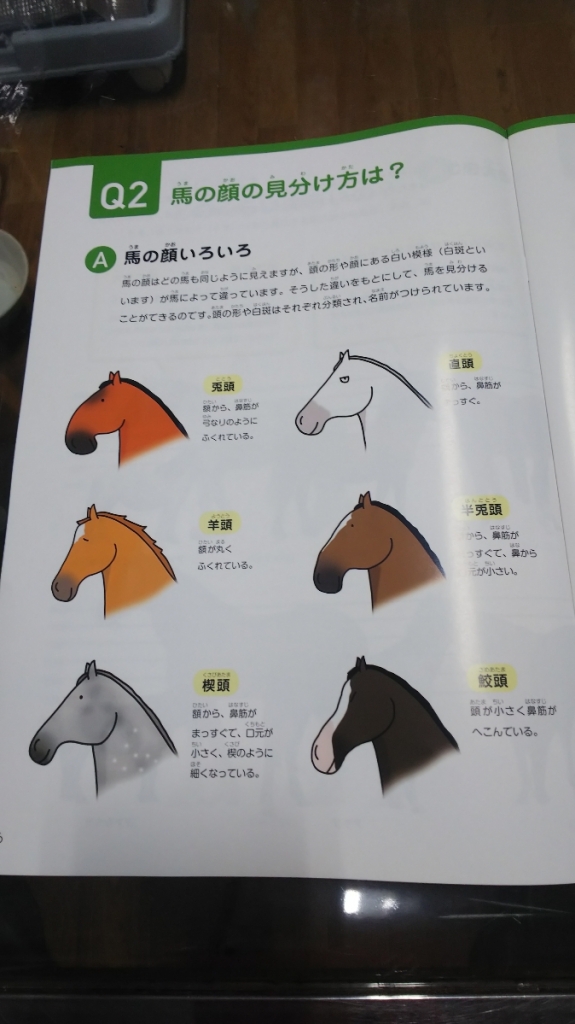馬の顔の見分け方 べんけい日記
