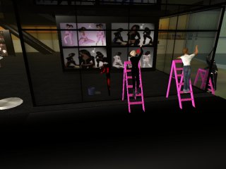 SECOND LIFE CAMP:DILEMA