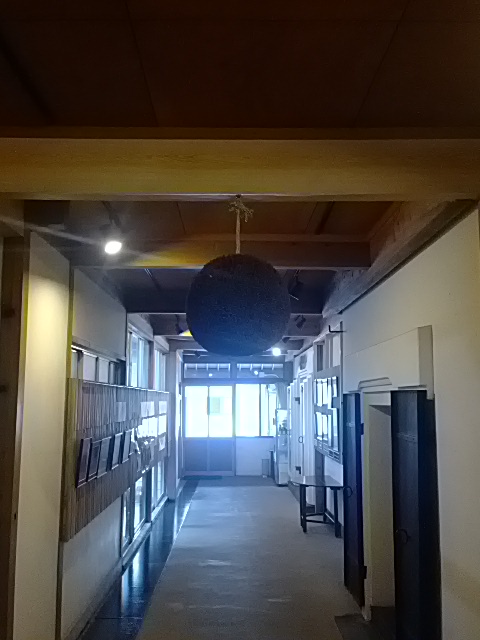 IMG_20130619_130213.jpg