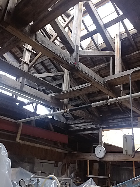 IMG_20130619_130833.jpg