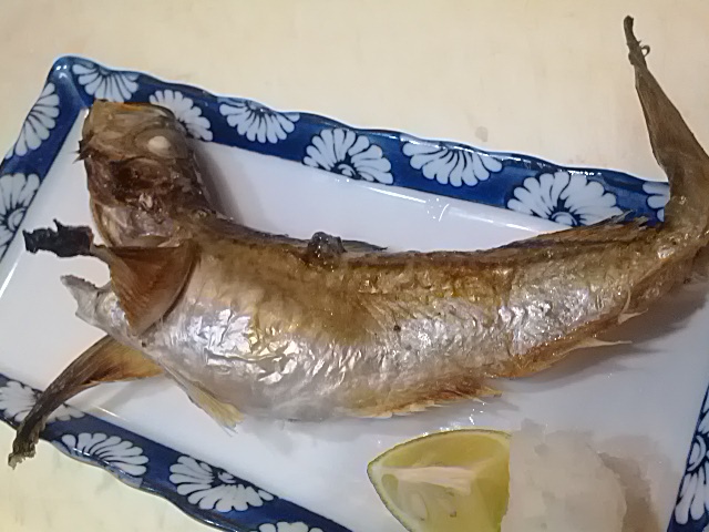 IMG_20131213_005206.jpg