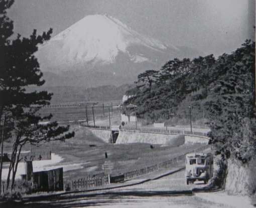 1955*.jpg