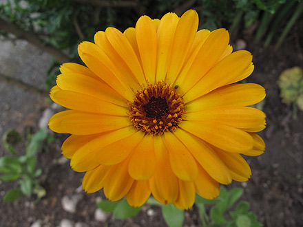 100522-2.jpg